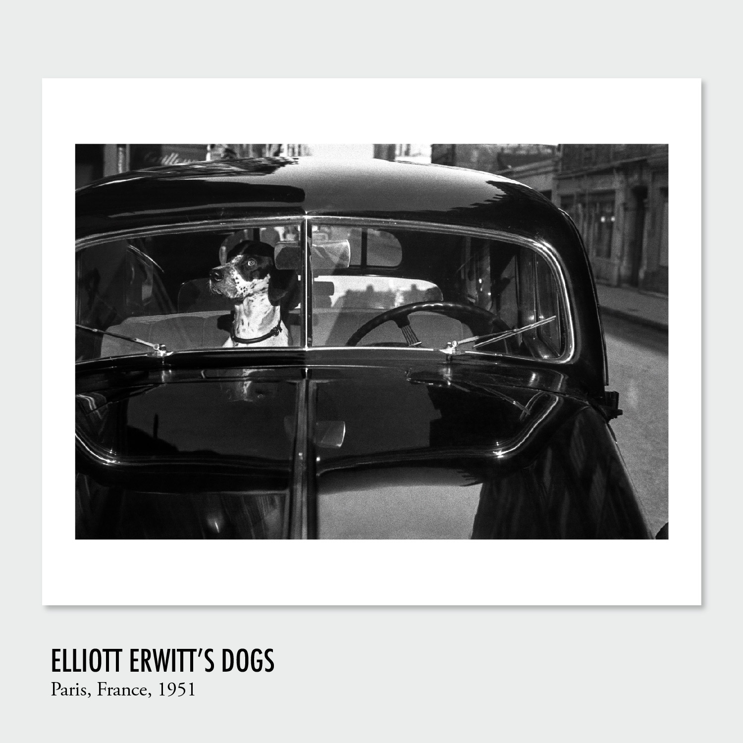 Elliott Erwitt - Reproduction en sérigraphie d'une photographie du photographe - Commandée par Polka GALERIE - Paris - Imprimée à l'Atelier Fwells