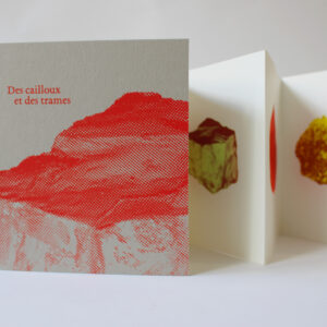 Leporello - Carte dépliante sérigraphiée par l'Atelier Fwells - Paris