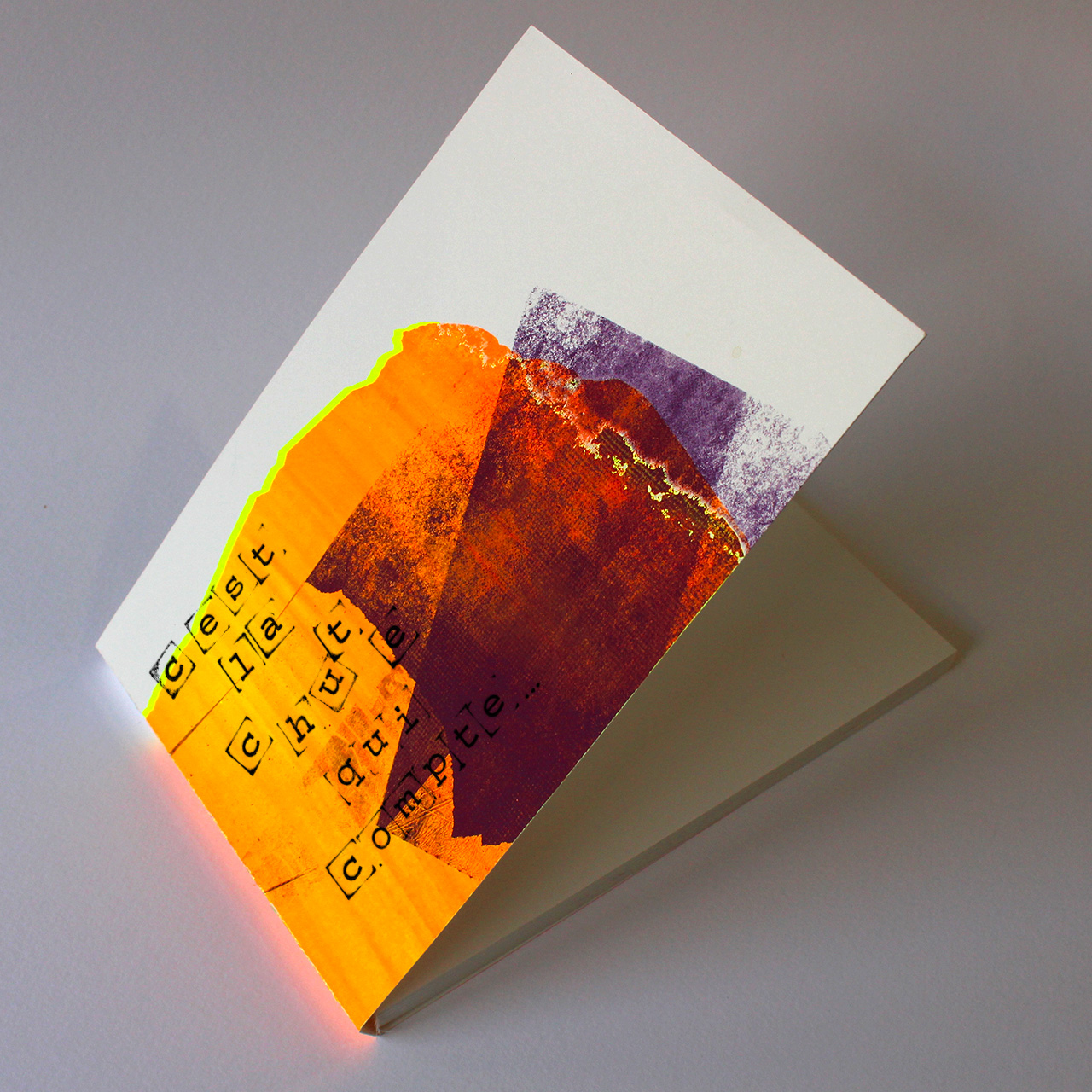 C'est la chute qui compte - carnets upcyclés de l'Atelier Fwells - Sérigraphie artisanale - Produit ouvert