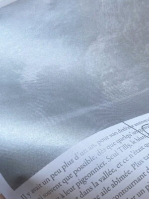 2025-02-JOSHUA-HAYMANN Encre argentée pour sérigraphie