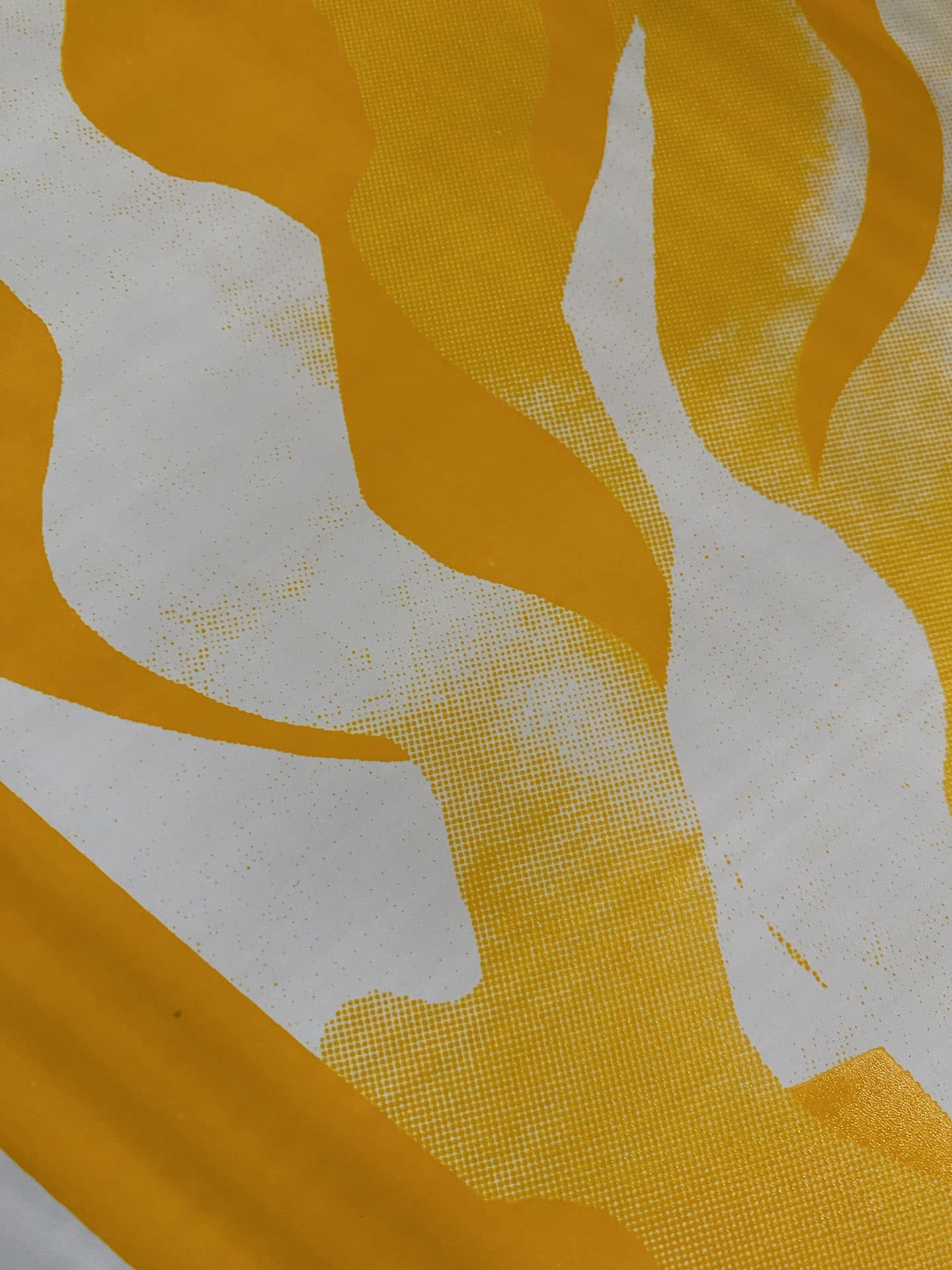 rendu de trame d'après tirage en sérigraphie sur papier atelier fwells