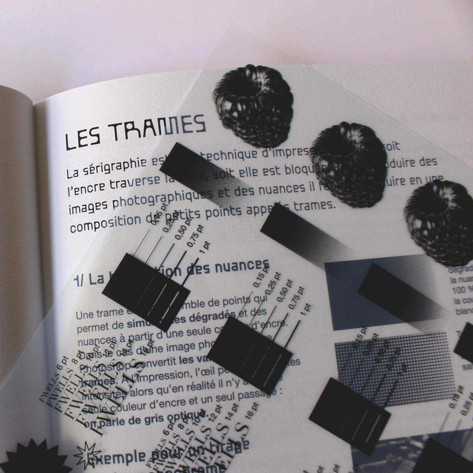 Travail des trames avec l'Atelier Fwells